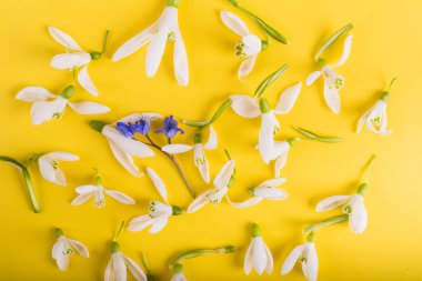 Bahar zamanı, kar damlaları gibi, rengarenk, basit, gösterişsiz arka plan, bahar sembolü ve geleneksel Romen çiçekleri, 1 Mart 'ta şenlik