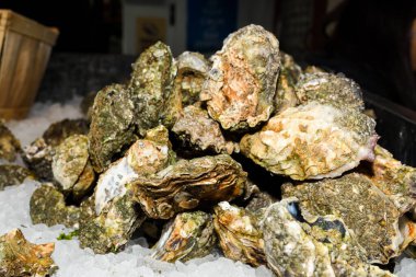 İstiridye, deniz veya tuzlu su habitatlarında yaşayan birkaç farklı tuzlu su bivanası yumuşakçasının yaygın adıdır. Bazı türlerde, kapakçıklar son derece kireçlenmiştir.