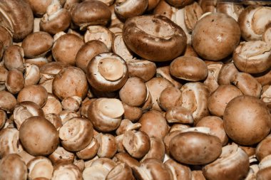 Satılık mantarlar. Yerel sonbahar ürünleri pazarda sergileniyor. Londra 'daki kasaba pazarı. Organik ve bio taze sağlıklı yeme konsepti. Sebzeler, sebzeler, onunkiler ve baharatlar