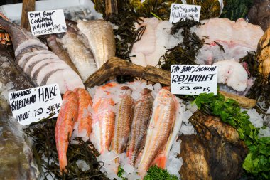 Pazarda buzda taze deniz ürünleri.