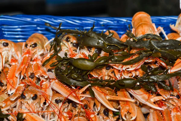 Nephrops Norvegicus Conocida Variadamente Como Cigala Langosta Bahía Dublín Langosta —  Fotos de Stock