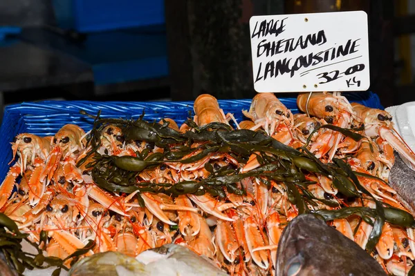 Nephrops Norvegicus Conhecido Variadamente Como Lagosta Noruega Camarão Baía Dublin — Fotografia de Stock