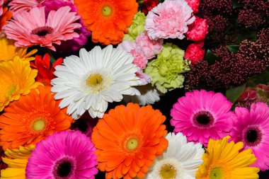 Bir buket çok renkli çiçek. Taze bahar çiçekleri, Sevgililer Günü için çiçek arkaplanı, Anneler Günü, Kadınlar Günü, 1 Mart, 8 Mart, doğum günü veya isim günü