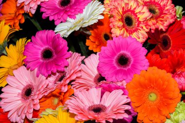 Bir buket çok renkli çiçek. Taze bahar çiçekleri, Sevgililer Günü için çiçek arkaplanı, Anneler Günü, Kadınlar Günü, 1 Mart, 8 Mart, doğum günü veya isim günü