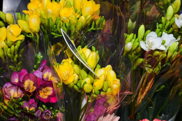 Bouquet Fiori Multicolori Fiori Freschi Primavera Sfondo Floreale San Valentino — Foto Stock