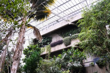 Londra, Birleşik Krallık, 25 Ocak 2020: The Conservatory at The Barbican Centre, a show art center in the Barbican Estate of London and the kind of Europe.