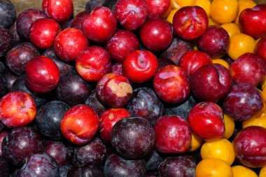 Yerel ürünler pazarda sergileniyor. Londra 'daki kasaba pazarı. Organik ve biyolojik sağlıklı yeme kavramı. Sebzeler, sebzeler, otlar ve baharatlar, fiyat etiketleri.