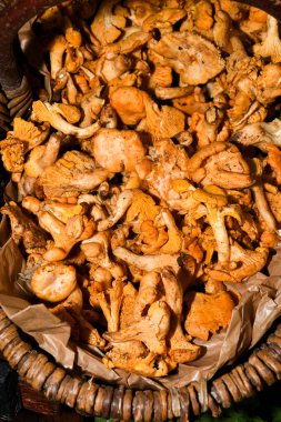 Satılık mantarlar. Yerel sonbahar ürünleri pazarda sergileniyor. Londra 'daki kasaba pazarı. Organik ve bio taze sağlıklı yeme konsepti. Sebzeler, sebzeler, onunkiler ve baharatlar