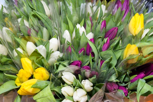 Fiori Vendita Mercato Tulipani Bianchi Gialli Viola Concetto Primavera Celebrazione — Foto Stock