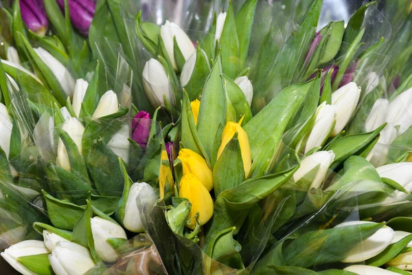 Fiori Vendita Mercato Tulipani Bianchi Gialli Viola Concetto Primavera Celebrazione — Foto Stock