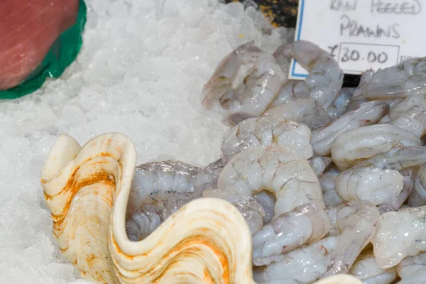 Camarão Descascado Cru Fresco Para Venda Mercado Peixe — Fotografia de Stock