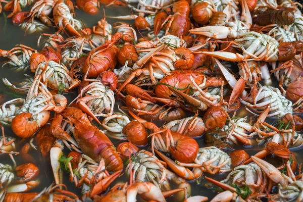 Cangrejos Río Cocidos Cangrejos Fritos Cangrejos Río Cangrejos Papás Cangrejo — Foto de Stock