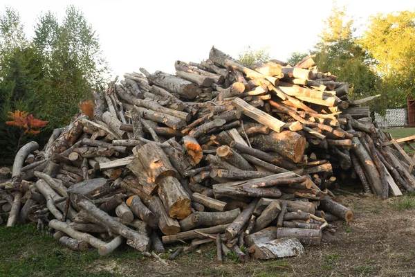 Haufen Gehäckseltes Kaminholz Für Den Winter Vorbereitet Die Vorbereitung Des — Stockfoto