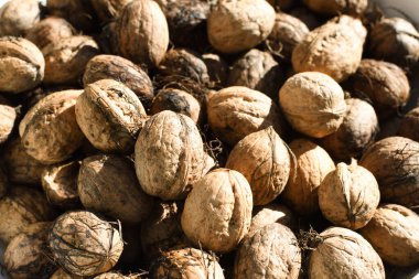 Bir sürü organik kase ve bir yığın ceviz, şarküteride satılıyor. Pazar yeri, yaz veya sonbahar aylarında güneşte işlenmemiş ürünler. Makro ya da detay çekimi, yukarıdan görünüm.