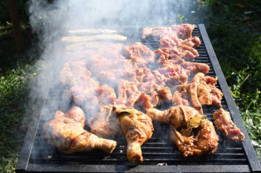 Izgarada et var. Şefin pişirdiği ızgara taze tavuk eti büyük bir tavada, açık havada barbekü konsepti. Tavuk külotlu çorabı, kanatları, göğsü, piknik sırasında veya aile etkinliğinde servis edilmeye hazır.