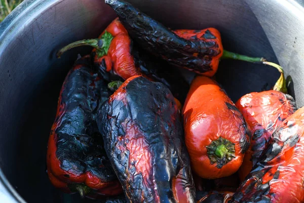 Dışarıda Barbekü Piknik Sırasında Izgara Kırmızı Biber Sebze Mangalı Hazırlayan — Stok fotoğraf