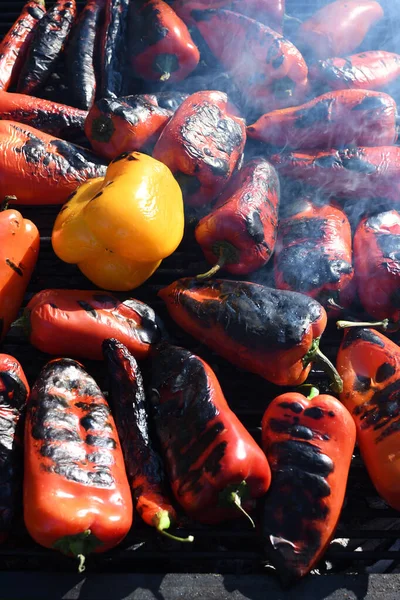 Dışarıda Barbekü Piknik Sırasında Izgara Kırmızı Biber Sebze Mangalı Hazırlayan — Stok fotoğraf