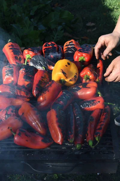 Dışarıda Barbekü Piknik Sırasında Izgara Kırmızı Biber Sebze Mangalı Hazırlayan — Stok fotoğraf