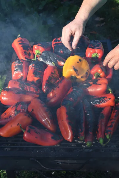 Dışarıda Barbekü Piknik Sırasında Izgara Kırmızı Biber Sebze Mangalı Hazırlayan — Stok fotoğraf