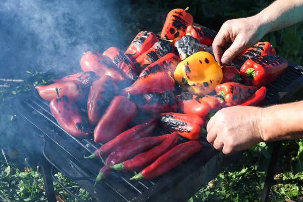 Dışarıda Barbekü Piknik Sırasında Izgara Kırmızı Biber Sebze Mangalı Hazırlayan — Stok fotoğraf