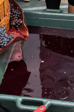 Yemek ve şarap festivalinde taze sıkılmış üzüm suyu. Geleneksel Romen tatlı içeceği, şekersiz, yoğun kırmızı renk