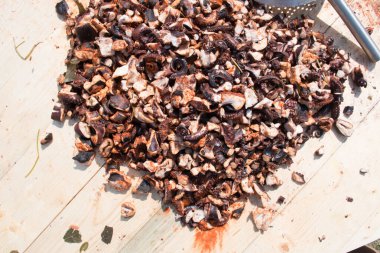 Ahtapot küçük lokmalar, sokak yemeği festivali. Deniz ürünleri festivali. Canlı yemek yarışması. Taze Yemek Büfesi Yemek Yeme Partisi Paylaşım Konsepti. İnce doğranmış ahtapot dokunaçları!