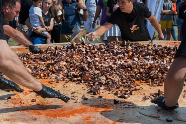 Ahtapot küçük lokmalar, sokak yemeği festivali. Deniz ürünleri festivali. Canlı yemek yarışması. Taze Yemek Büfesi Yemek Yeme Partisi Paylaşım Konsepti. İnce doğranmış ahtapot dokunaçları!