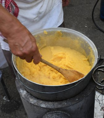Taze polenta ya da 