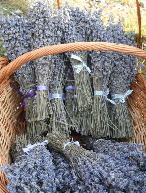 Lila tekstil malzemeli bir grup narin kurutulmuş lavanta buketleri hafta sonu el yapımı zanaatkarlar için düzenlenen deco fuarında satışa sunuldu. Satılık kurutulmuş lavanta çiçekleri.