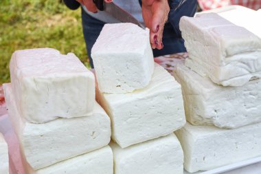 Süpermarketteki şarküteride satılık bitkilerle tatlandırılmış çeşitli peynir tekerleri. Yemek festivalinde Romanya 'nın geleneksel yumuşak ve sert peynir çeşitleri tezgahın üzerinde