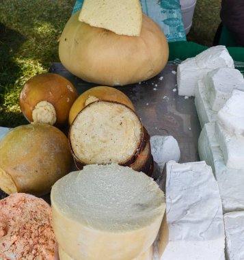 Süpermarketteki şarküteride satılık bitkilerle tatlandırılmış çeşitli peynir tekerleri. Yemek festivalinde Romanya 'nın geleneksel yumuşak ve sert peynir çeşitleri tezgahın üzerinde