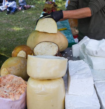 Süpermarketteki şarküteride satılık bitkilerle tatlandırılmış çeşitli peynir tekerleri. Yemek festivalinde Romanya 'nın geleneksel yumuşak ve sert peynir çeşitleri tezgahın üzerinde