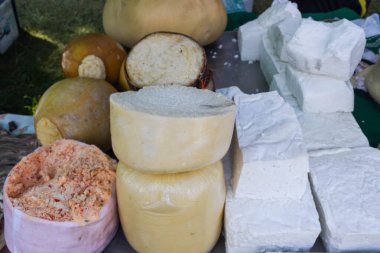 Süpermarketteki şarküteride satılık bitkilerle tatlandırılmış çeşitli peynir tekerleri. Yemek festivalinde Romanya 'nın geleneksel yumuşak ve sert peynir çeşitleri tezgahın üzerinde