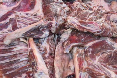 Taze ve çiğ koyun veya kasap tezgahının üstünde satılık kuzu eti parçaları. Yağlı ve kırmızı etli pişirilmemiş protein, yakın çekim makro izole pazar yeri