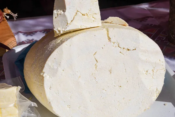 A variety of wheels of cheese seasoned with herbs for sale at the deli counter in the supermarket. Romanian traditional assortment of soft and hard cheeses on the counter top during food festival