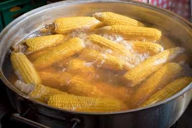 Mısır koçanını güneş ışığında yakın plan çekimde haşladım. Dışarıda mısır koçanı var. Sobada mısır kaynatıyorlar, üst tarafta. Sebze atıştırması, vejetaryen yemeği, açık hava kahvaltısı / festival sırasında.