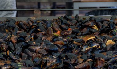 Izgarada taze midye. Açık havada deniz ürünleri barbeküsü. Piknik sağlıklı yiyecekler, kabuklu midyeler. Büyük metal tavada pişen bir sürü midye. Yemek Yemeği Yemeği Yemeği Paylaşım Konsepti
