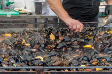 Izgarada taze midye. Açık havada deniz ürünleri barbeküsü. Piknik sağlıklı yiyecekler, kabuklu midyeler. Büyük metal tavada pişen bir sürü midye. Yemek Yemeği Yemeği Yemeği Paylaşım Konsepti