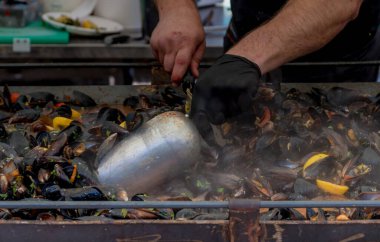 Izgarada taze midye. Açık havada deniz ürünleri barbeküsü. Piknik sağlıklı yiyecekler, kabuklu midyeler. Büyük metal tavada pişen bir sürü midye. Yemek Yemeği Yemeği Yemeği Paylaşım Konsepti