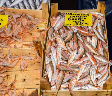 İstanbul, Türkiye, 20.12.2019: Balık pazarının tepesinde satılık taze deniz ürünleri