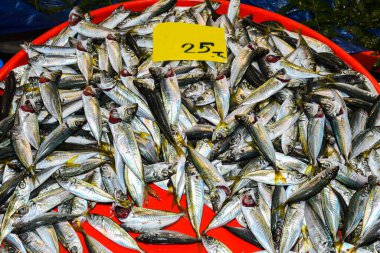 İstanbul, Türkiye, 20.12.2019: Balık pazarının tepesinde satılık taze deniz ürünleri