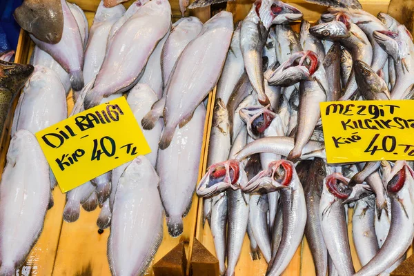 Istambul Turquia 2019 Frutos Mar Frescos Balcão Mercado Peixe Venda — Fotografia de Stock