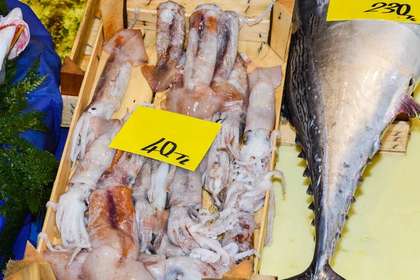 Istanbul Turkey 2019 Fresh Seafood Counter Top Fish Market Sale — Stock Photo, Image
