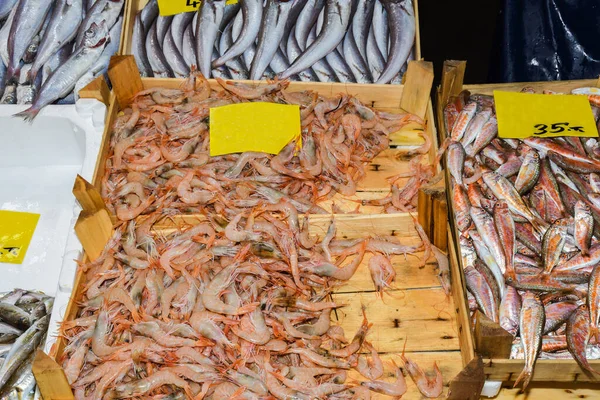 Istambul Turquia 2019 Frutos Mar Frescos Balcão Mercado Peixe Venda — Fotografia de Stock