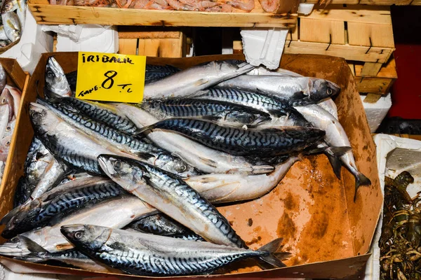 Istambul Turquia 2019 Frutos Mar Frescos Balcão Mercado Peixe Venda — Fotografia de Stock