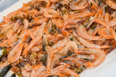 İstanbul, Türkiye, 20.12.2019: Balık pazarının tepesinde satılık taze deniz ürünleri