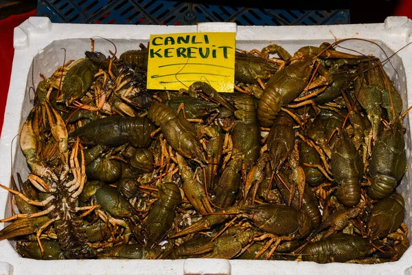 Estambul Turquía 2019 Mariscos Frescos Encimera Del Mercado Pescado Venta — Foto de Stock