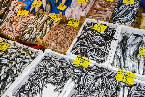 Istambul Turquia 2019 Frutos Mar Frescos Balcão Mercado Peixe Venda — Fotografia de Stock