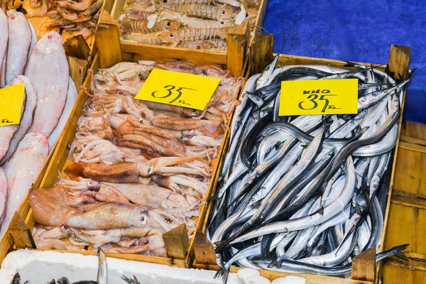 Estambul Turquía 2019 Mariscos Frescos Encimera Del Mercado Pescado Venta —  Fotos de Stock