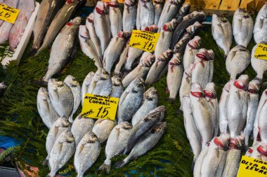 İstanbul, Türkiye, 20.12.2019: Balık pazarının tepesinde satılık taze deniz ürünleri
